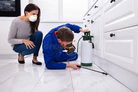 Best Residential Pest Control  in Eastpointe, MI